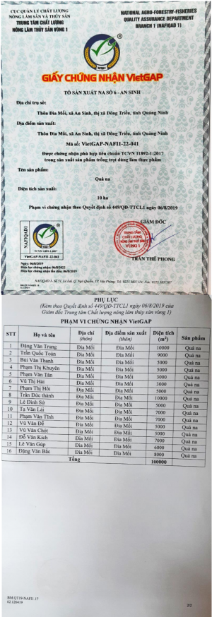 Giấy chứng nhận VietGAP Na Đông Triều